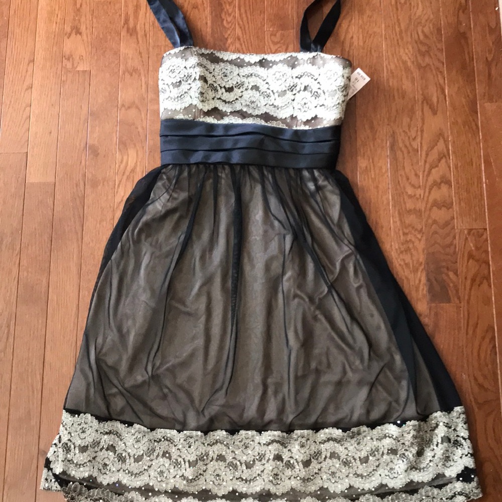 NWT Dress Size 16